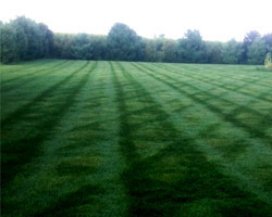 Lawn Maintenance Glassboro, NJ